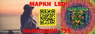 2c-b Кингисепп