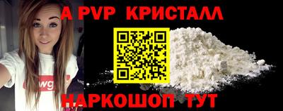2c-b Кингисепп