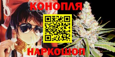 2c-b Кингисепп