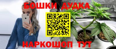 2c-b Кингисепп
