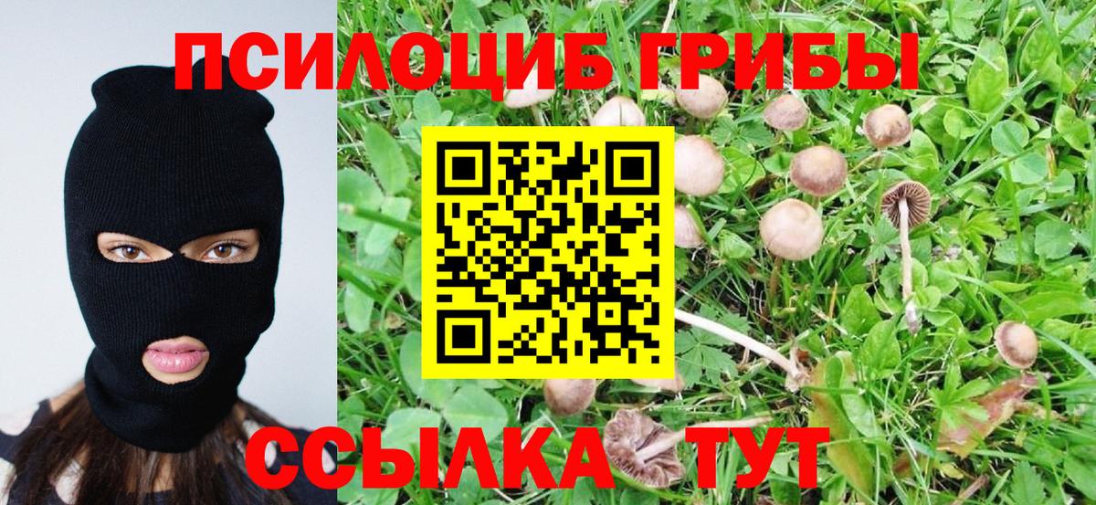 Галлюциногенные грибы Psilocybine cubensis  Галлюциногенные грибы мухоморы  Заволжье  Вход с VPN 